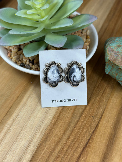 White Buffalo Studs