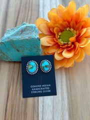 Oval Stud Earrings