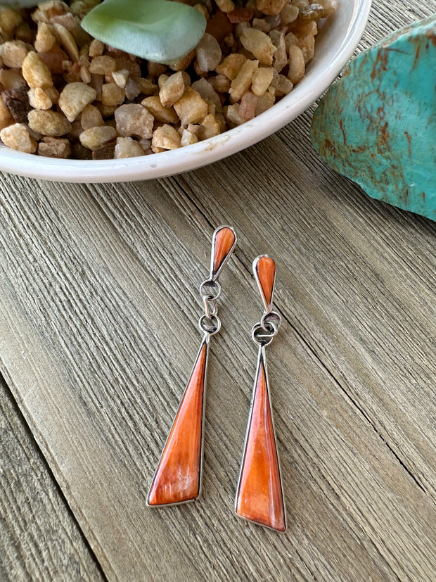 Spiny triangle Earrings