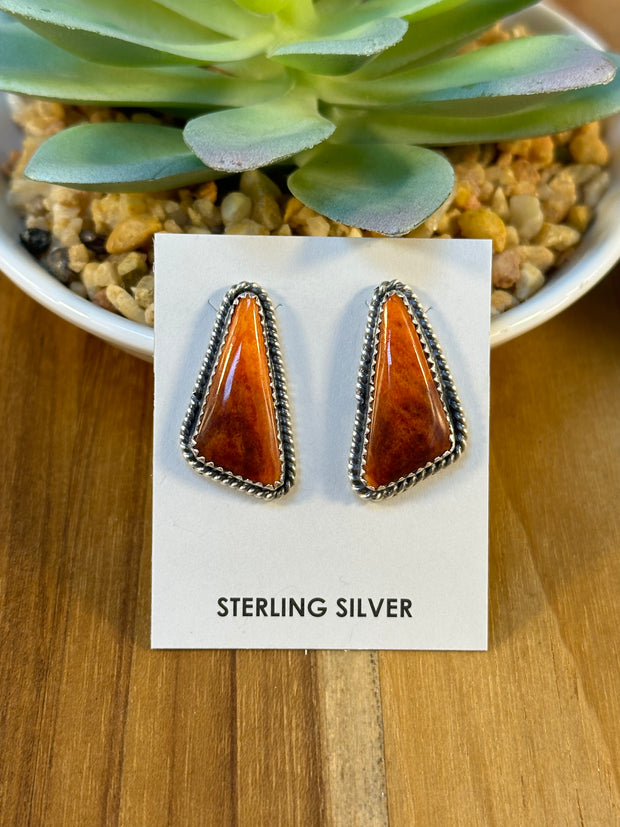 Varied Spiny Triangle Earrings
