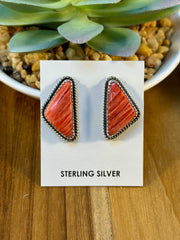 Varied Spiny Triangle Earrings