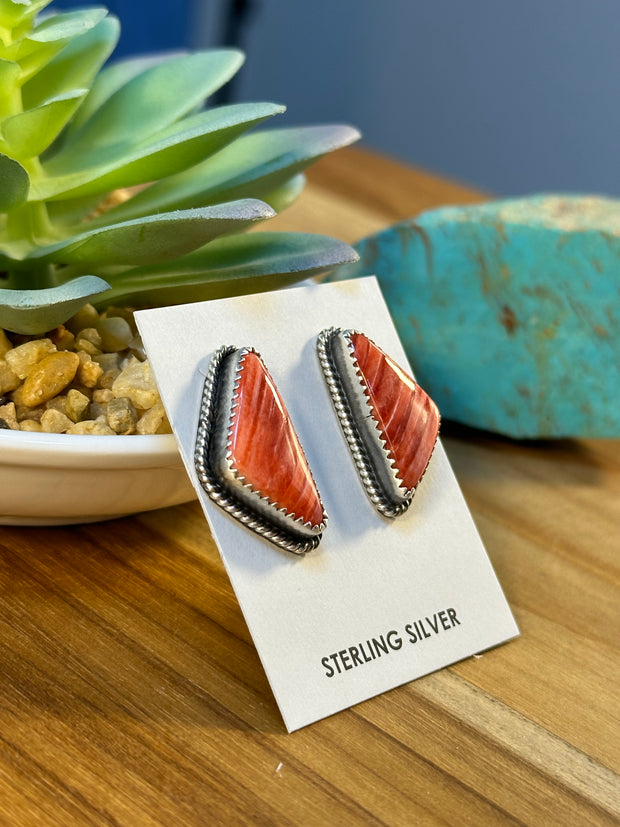 Varied Spiny Triangle Earrings