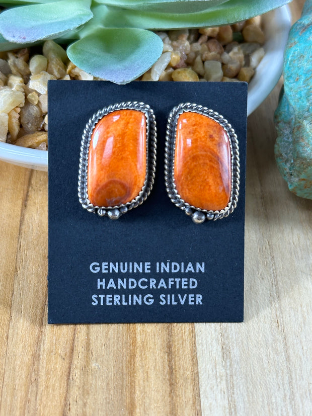 Spiny Oyster Studs
