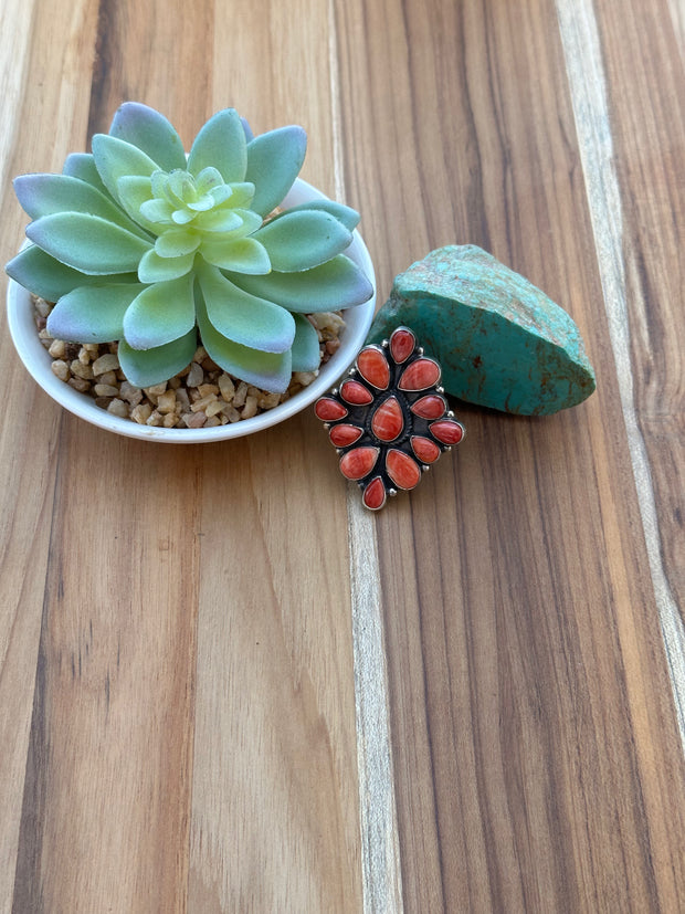 Spiny Teardrop Cluster