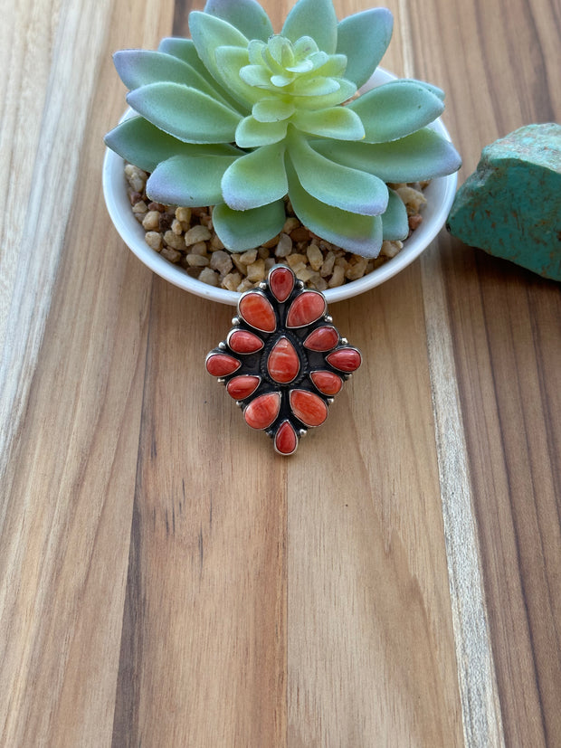 Spiny Teardrop Cluster