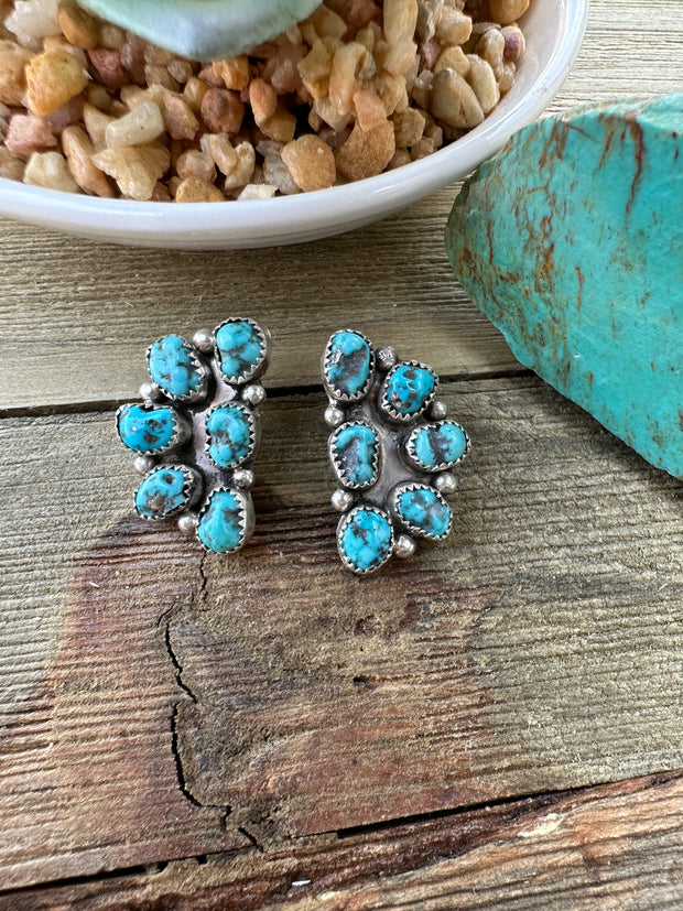 Sleeping Beauty Half Cluster Earrings