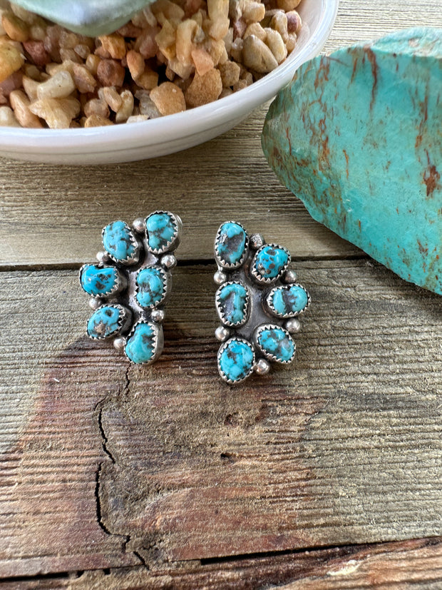 Sleeping Beauty Half Cluster Earrings
