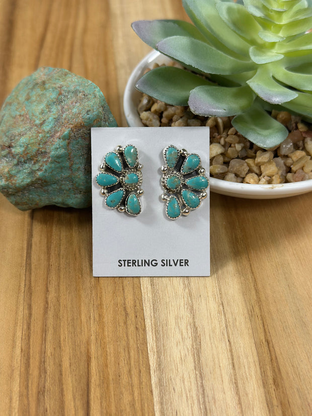 Kingman Turquoise Half Cluster Earring