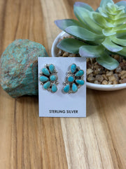Kingman Turquoise Half Cluster Earring