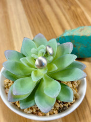 Sterling Silver Stud Earrings